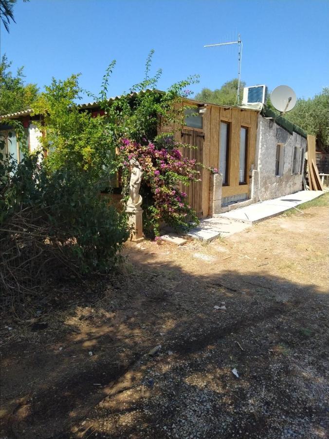 Casa Carlo Villa Alghero Exteriör bild
