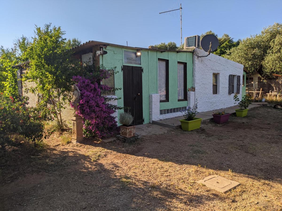 Casa Carlo Villa Alghero Exteriör bild